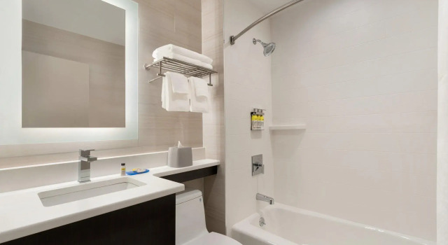 Номер Standard Holiday Inn Express - Jamaica - JFK AirTrain - NYC by IHG