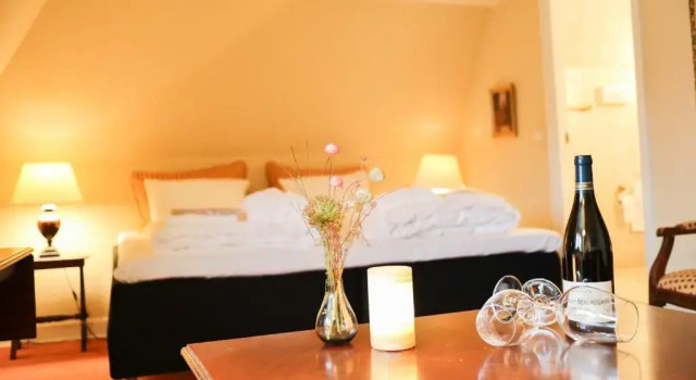 Suite Hotel Dagmar