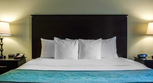 Двухместный люкс Hampton Inn by Hilton Tampa Fairgrounds Casino