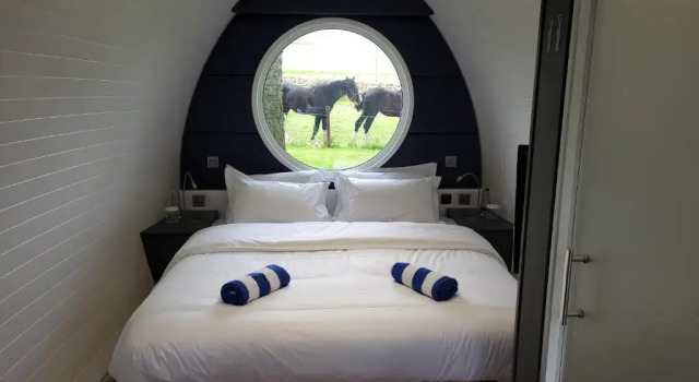 Номер Deluxe Marshall Meadows Manor House