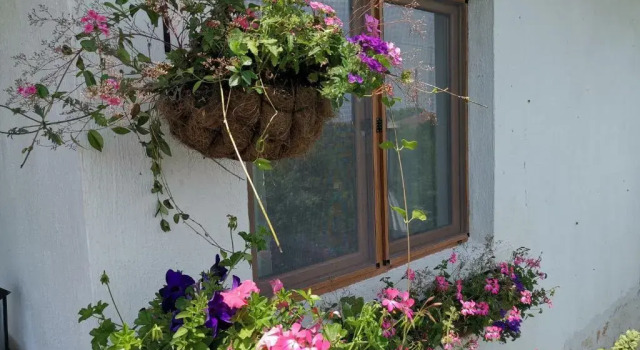 Deluxe Zimmer House Albena