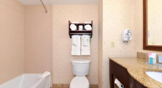 Люкс Hampton Inn & Suites Fruitland