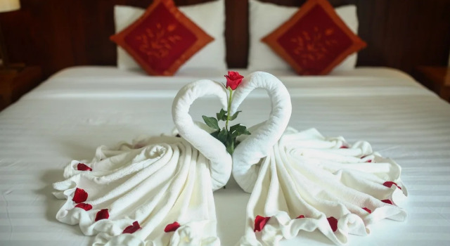 Номер Superior с видом на сад Hoi An Holiday Villa