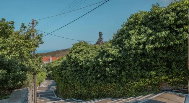Karastamati's Tower House, Prenota Hotel Apikia Andro