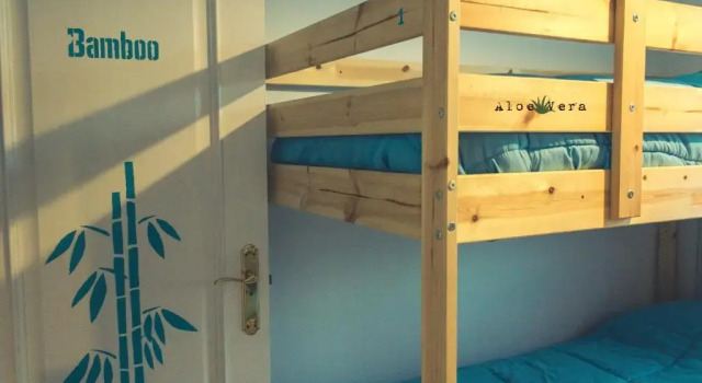 Номер Standard Aloe Vera Shared House