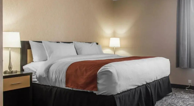 Люкс Quality Inn & Suites Kingston