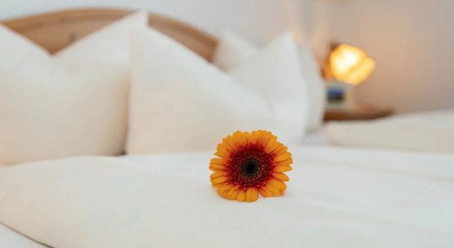 Номер Comfort Hotel Landgasthof Schöntag