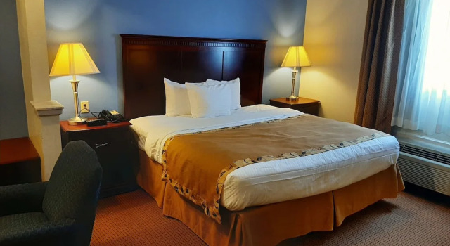Deluxe suite The Regal Hotel