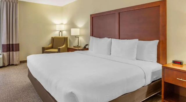 Номер Standard Comfort Inn Quantico
