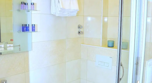 Номер Standard Dualis Hotel