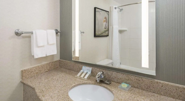 Четырёхместный номер Standard Hilton Garden Inn Scottsdale North/Perimeter Center