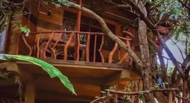 Коттедж Dudley Nature Resort