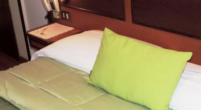 Трёхместный номер Economy Hotel Signa