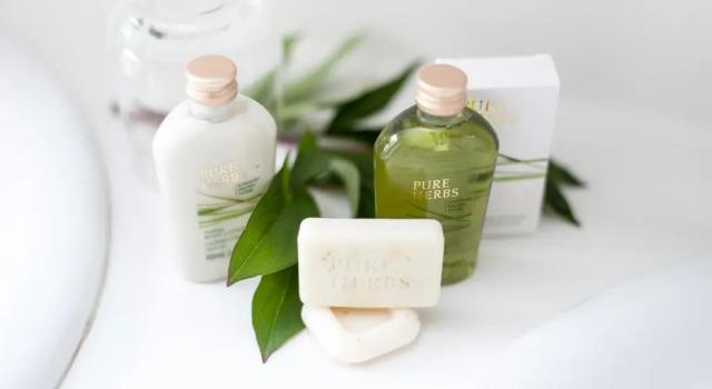 Номер Deluxe Ferien & Wellnesshotel Windschar