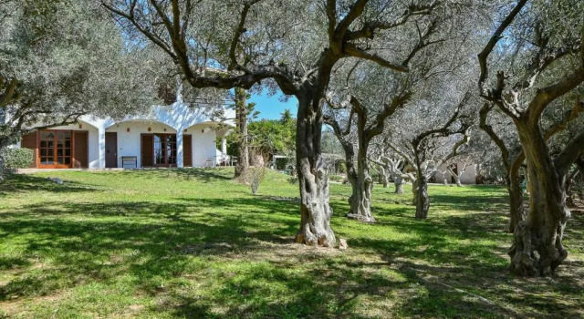 Light-filled home with Garden near Beach