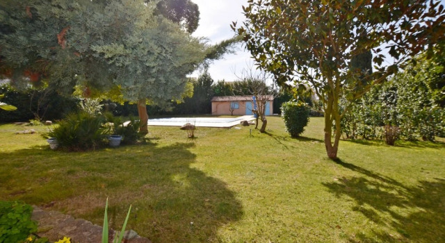 House Di Te Ne Ma