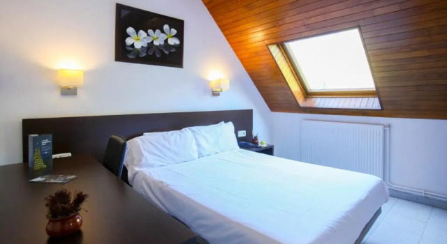 Двухместный номер Standard Мансарда Insitu Eurotel Andorra