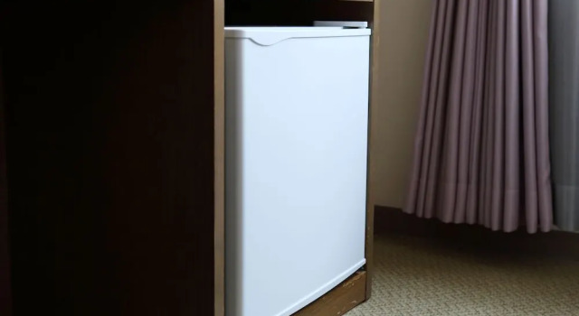 Номер Standard Hotel Leon Hamamatsu