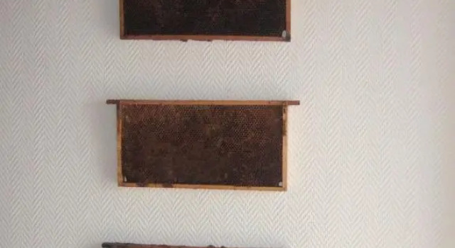Номер Standard Gasthaus Hofmann