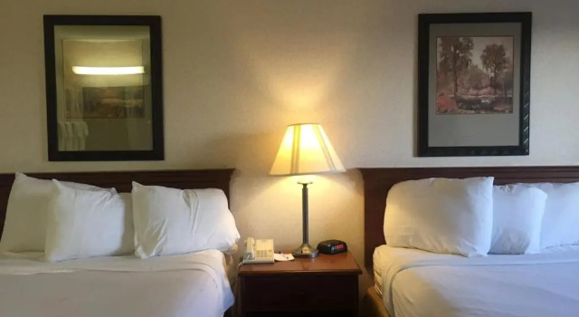 Четырёхместный номер Standard Quality Inn & Suites Willows