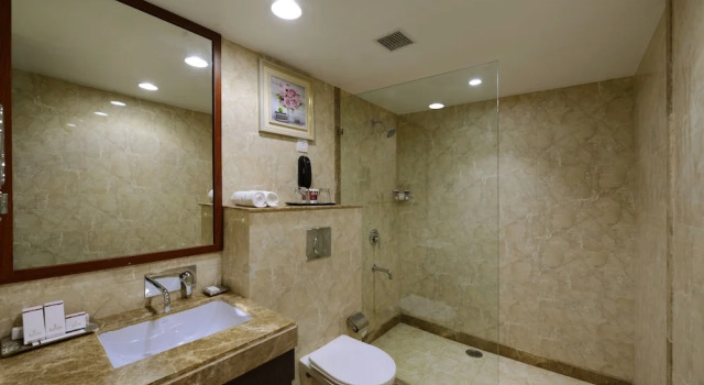 Клубный номер Standard Lords Inn Jodhpur