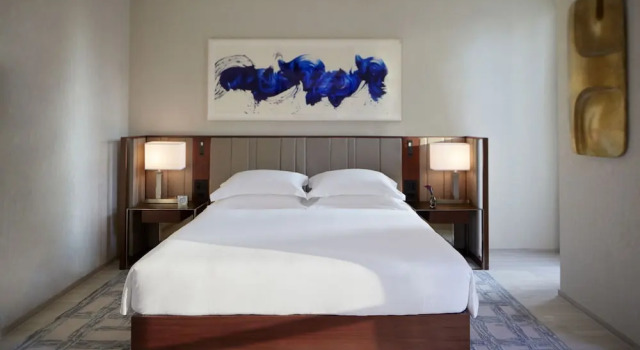 Люкс Carnegie c 1 комнатой Park Hyatt New York