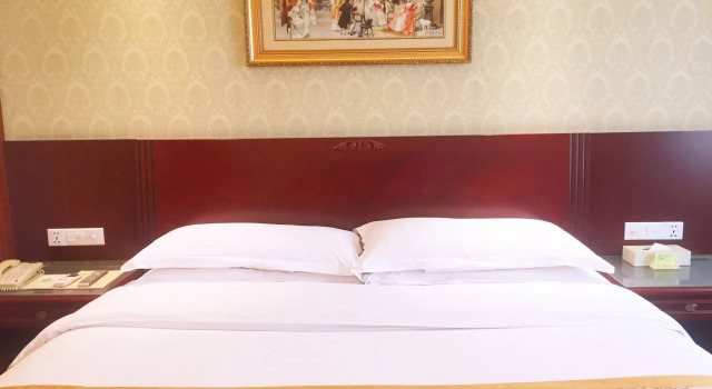 Vienna Hotel Airport Branch