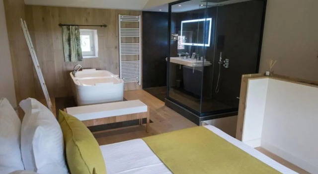 Двухместный люкс Luxury Chambres dhôtes Domaine de Nazère