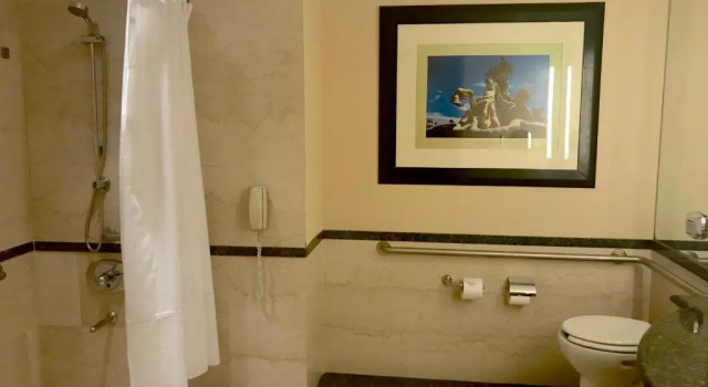 Двухместный номер Deluxe Accessible Hilton Buenos Aires