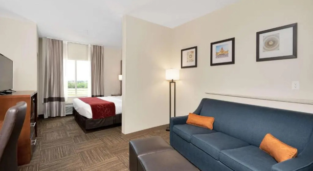 Люкс Comfort Suites University