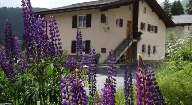 Casa Suliva, Book Hotel Arosa Grisons
