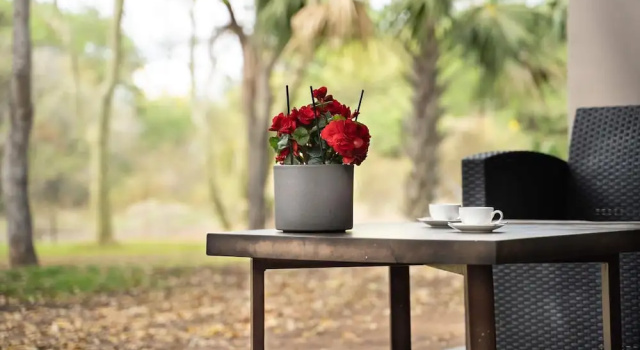 Двухместный номер Luxury Kruger Eden Lodge