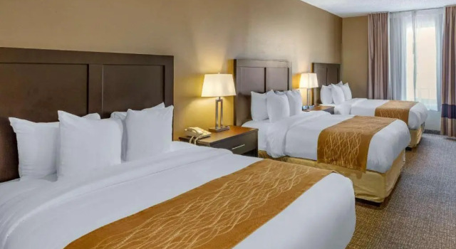 Семейный номер Standard Comfort Inn Evanston I-80