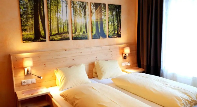 Двухместный номер Deluxe Bergfrieden Leutasch/Seefeld