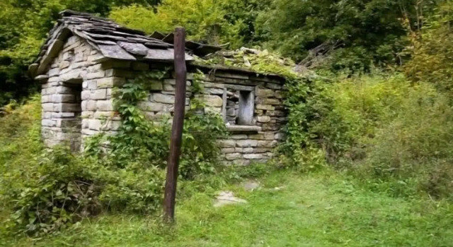 High Bickington Forest View 2 Bedrooms