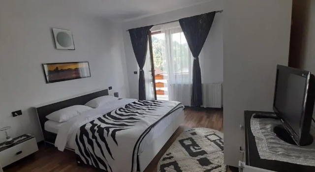 Pensiunea Mia, Book Hotel Statjunea Borsa Maramureş