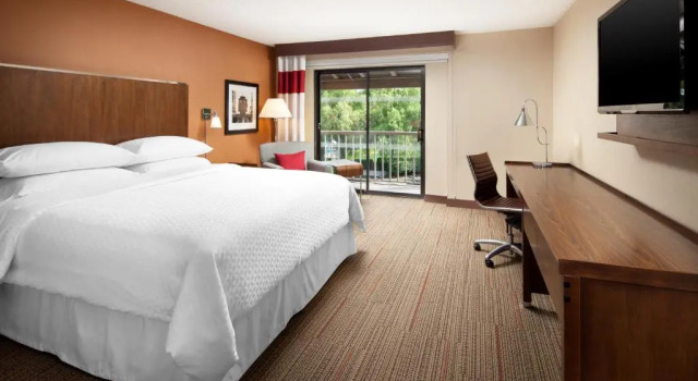 Номер Standard Four Points by Sheraton Pleasanton