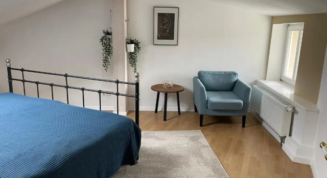 Апартаменты Дуплекс Charming Apartment at the Heart of Baden Baden