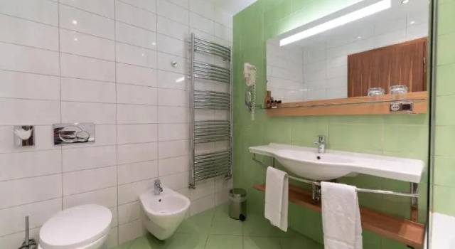 Двухместный номер Standard с балконом Hotel Arena Maribor