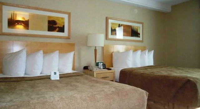 Parc Cité, Rezervasyon Otel Montreal Quebec, Complexe Desjardins yakınında