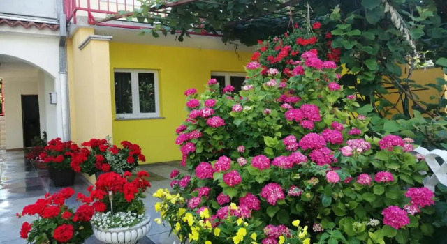 Апартаменты Apartments Sara