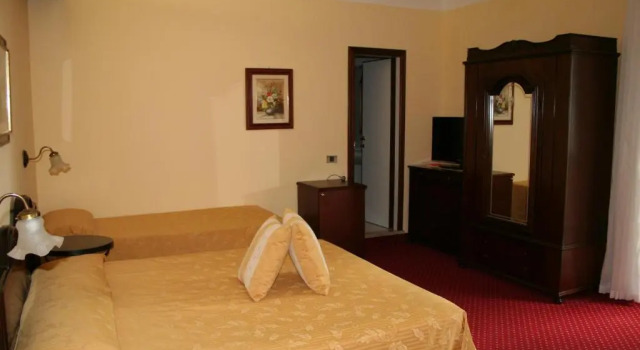 Двухместный номер Classic Hotel Milano Helvetia - in centro con piscina