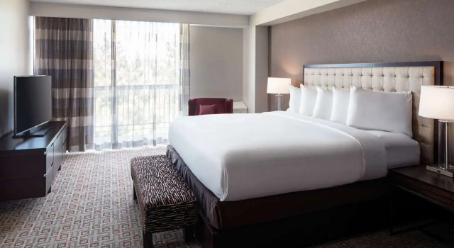 Люкс с 2 комнатами с балконом DoubleTree by Hilton Denver Tech