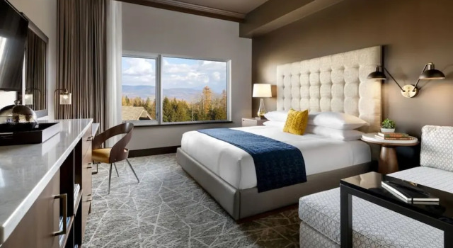 Двухместный номер Deluxe The Josie Hotel, Autograph Collection