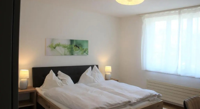 Апартаменты Comfort Herisau Apartments