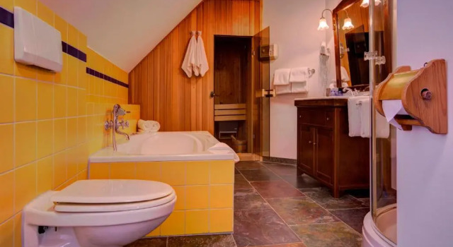 Люкс c 1 комнатой Hotel De Maasparel Arcen