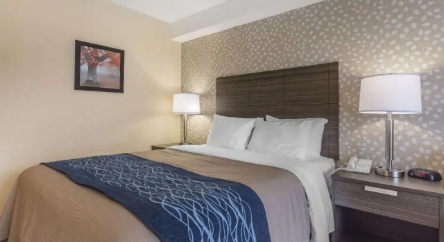 Двухместный номер Deluxe Цокольный этаж Comfort Inn