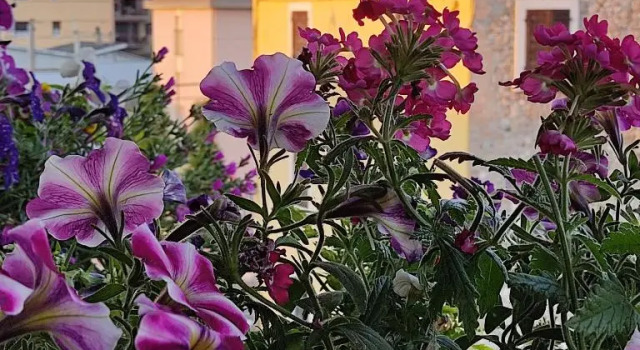 Номер Economy Lovely Casa Paola