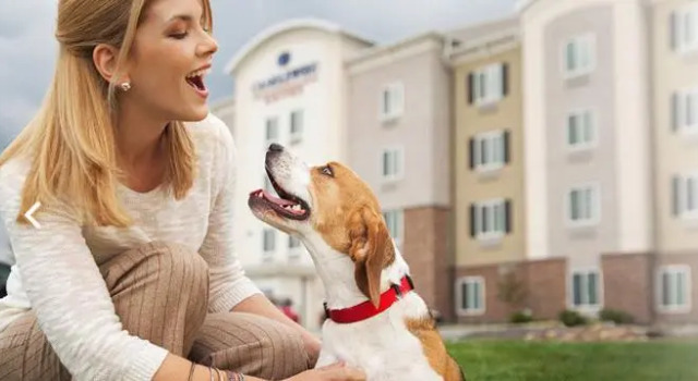 Одноместный люкс Candlewood Suites - Austin North by IHG