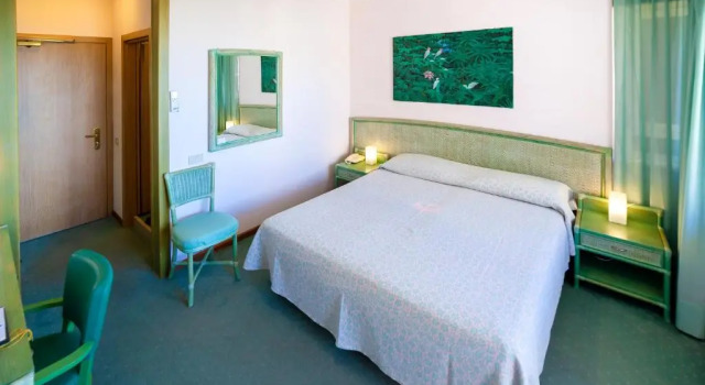 Номер Basic Hotel American